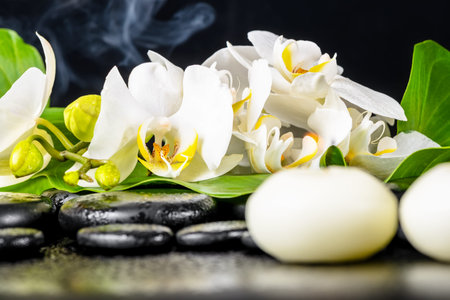 beautiful spa concept of white orchid flower, phalaenopsis, green leaf with dew, smoke and candles on black zen stones, closeupの写真素材