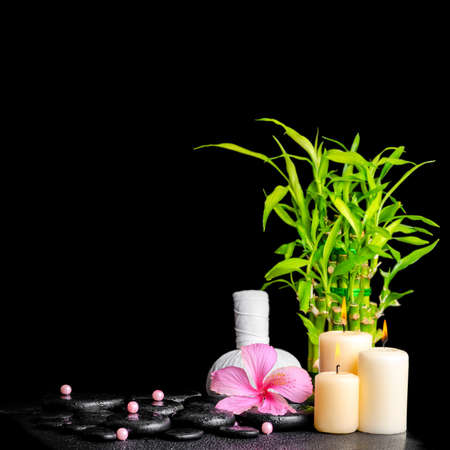 spa concept of hibiscus flower, bamboo, thai herbal compress ball, beads and candles on zen basalt stones with drops, closeupの写真素材
