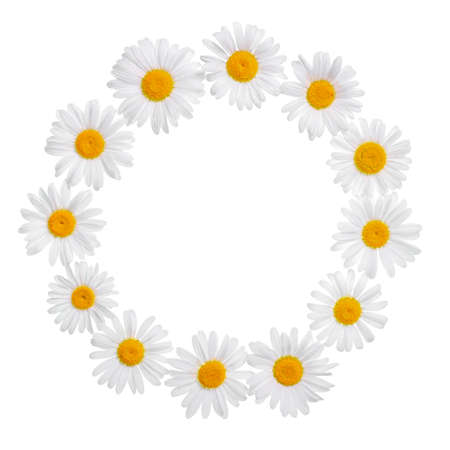 chamomile flower wreath with place for your text or image is isolated on white, card for summer or wedding designs, closeupの写真素材
