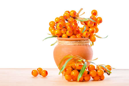 heap of sea buckthorn berries twigs in vintage ceramic pot is isolated on white backgroundの写真素材