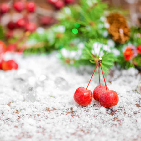 beautiful Christmas background of apple, nuts, cones, berries, fir tree and snow, closeupの写真素材