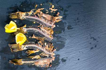 top down of fish skeleton bones without heads, squeezed lemon on slate background, close upの写真素材