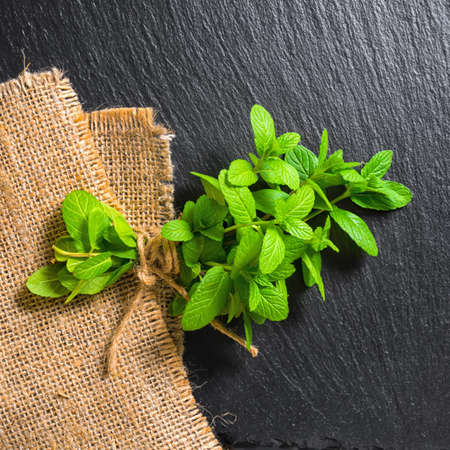 beautiful bunch fresh green lemon mint tied twine on slate and burlape background, close upの写真素材