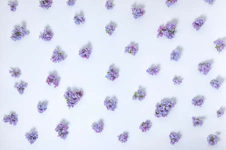 top view of trendy abstract beautiful lilac flowers floral pattern, flat lay, close upの写真素材