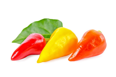 assorted decorative red, yellow, orange peppers Capsicum Gemeng with green leaf is isolated on white...
