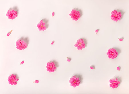 flat lay of beautiful trendy seamless pattern flowers on pink background, close up