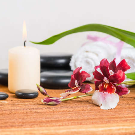 spa composition of orchid flower, cambria, towels, zen stones and candle on wooden background, close upの写真素材
