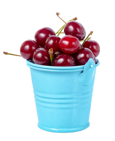 red ripe cherries in blue bucket isolated on white background, close upの写真素材