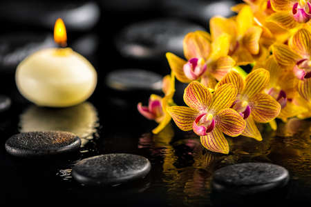 beautiful spa composition of blooming twig orange orchid flower with water drops, candle and zen basalt stones, close upの写真素材