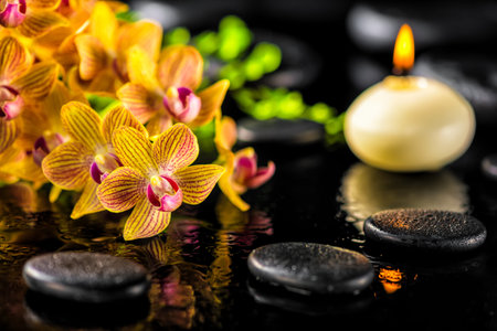 beautiful spa composition of blooming twig orange orchid flower, green foliage with water drops,...