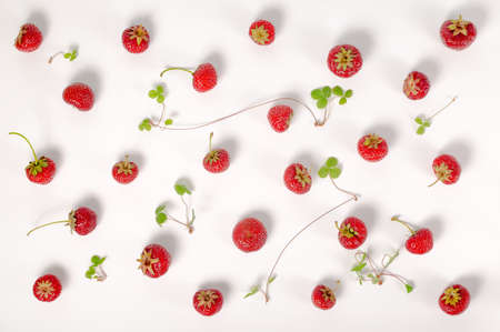 flat lay of trendy seamless pattern red strawberry and plant like background, concept of healthy eating, dietingの写真素材