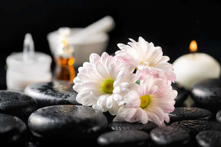 spa composition of white daisy flowers, candle, fragrance oil, cosmetic cream and zen basalt stones with dew on black background, close upの写真素材
