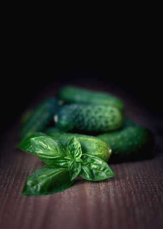 green cucumber and twig of basil on wooden dark background, rustic style, toned, close upの写真素材