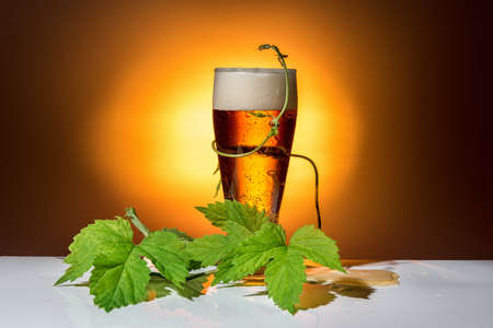 dark glass beer with twig of hop on light background, close upの写真素材