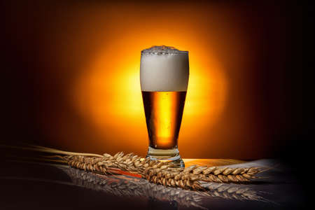 dark glass beer with ears of wheat on light background, close upの写真素材