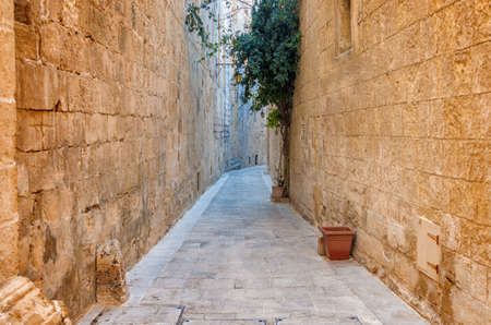 beautiful view of ancient narrow medieval street with tree in town Mdina, Maltaの写真素材