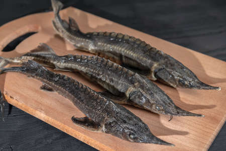 three of fresh raw sturgeon fish on wooden backgroundの写真素材