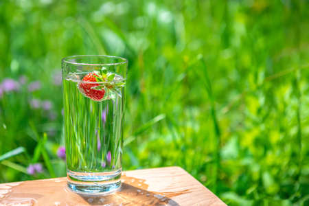 Glass of infused detox water with strawberry and bubbles on green nature background, concept of refreshing summer drinkの写真素材