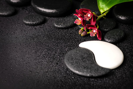Beautiful spa background of zen and Yin-Yang stones with drops, red mini orchid (phalaenopsis) and green leaf. Copy spaceの写真素材