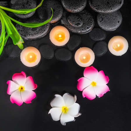 top view of spa concept with plumeria flowers, green leaves and candles on black zen stones in waterの写真素材