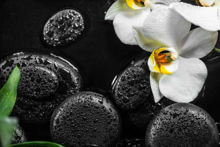 top view of spa setting of white orchid (phalaenopsis) and black zen stones with drops in waterの写真素材