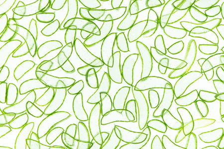 trendy pattern of green aloe vera slices background for design banner, poster, flyer, card,...