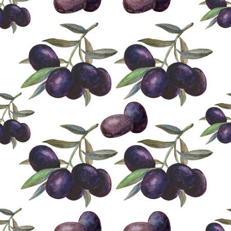 pattern with fruits of black olives and green leavesの写真素材