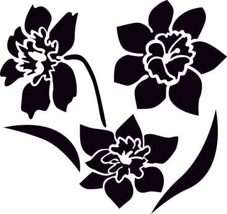 Narcissus flower. Silhouette image of flowers. Design element .のイラスト素材