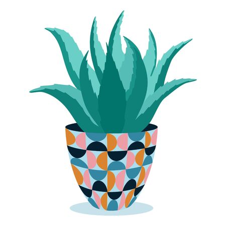 Aloe vera in flowerpot with trendy pattern. Houseplant with pot  isolated on white background.のイラスト素材