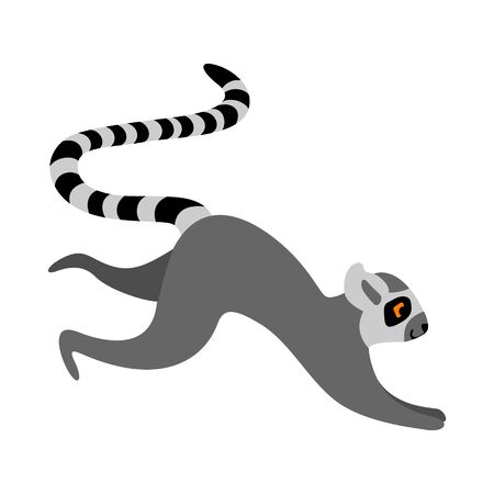 Funny running lemur. Cute african character isolated on white background. Flat vector illustration.のイラスト素材