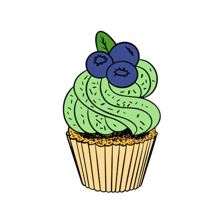Hand drawn colored cupcake with blackberry. Sweet muffin isolated on white background. Vector illustration.のイラスト素材