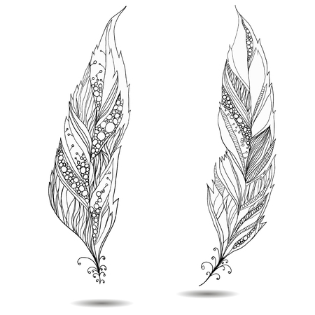 Decorative bird feather のイラスト素材