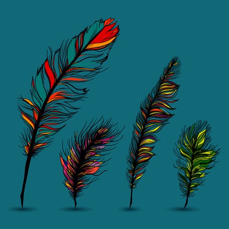 Set of multicolored feathers, isolate. With blue background. Vectorのイラスト素材