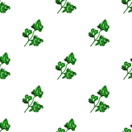 Vector seamless background with parsley. EPS illustrationのイラスト素材
