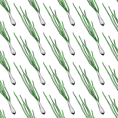 Vector seamless background with green onion. EPS illustrationのイラスト素材