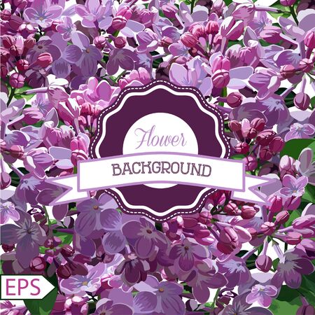 Spring pattern for the design of flowers. Vector illustration. EPSのイラスト素材