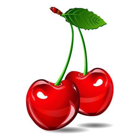 Cherry vector berry isolate on white background. EPS illstrationのイラスト素材