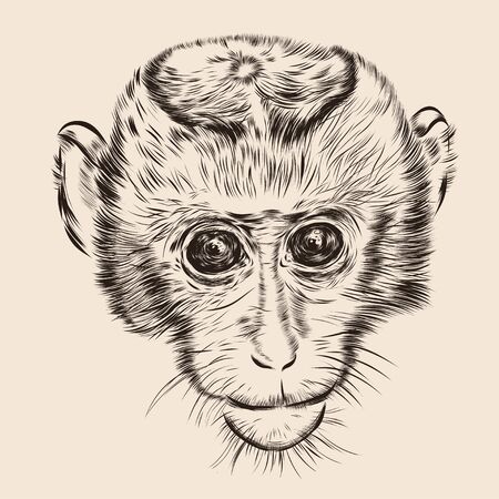 Sketch monkey face. Hand drawn doodle vector illustration. EPSのイラスト素材