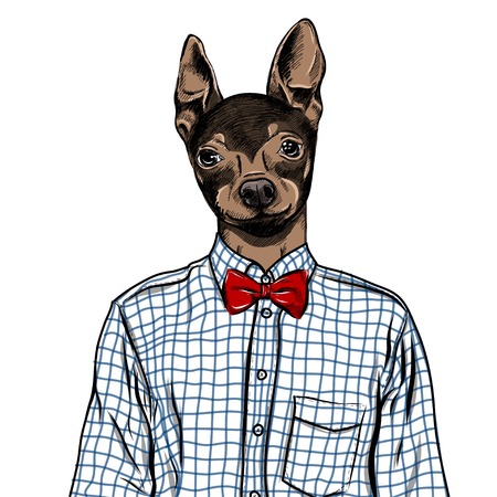 Hand Drawn Fashion Illustration of dressed up english Toy Terrier, in colors.のイラスト素材