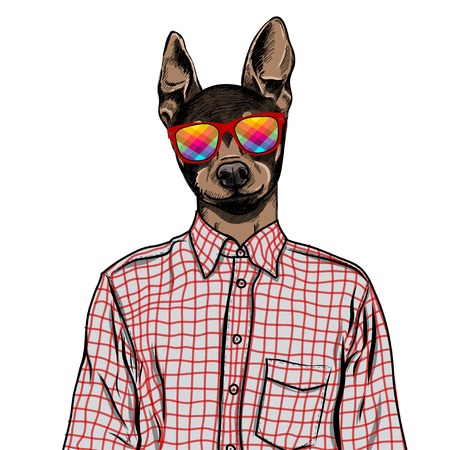 Hand Drawn Fashion Illustration of dressed up english Toy Terrier, in colors. Vectorのイラスト素材
