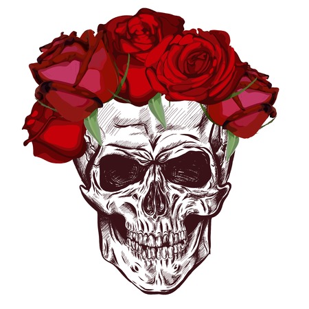 Skull And roses. Sketch With gradation Effect. Vectorのイラスト素材