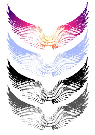 vintage vector wings on white background. EPS 10.のイラスト素材