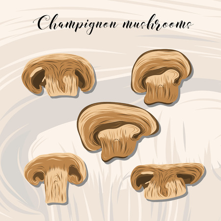 Fried champignon mushrooms on colourful background. EPSのイラスト素材