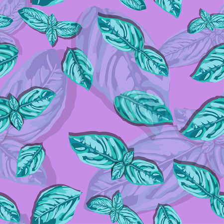 spice basil leaves seamless pattern on a background. Vectorのイラスト素材