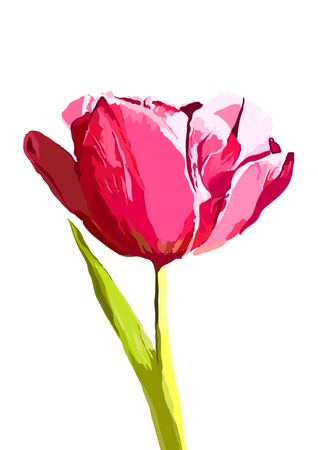 Vector tulip hand drawn illustration.のイラスト素材