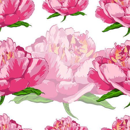 Seamless pattern of flowers peonies on a white background.のイラスト素材