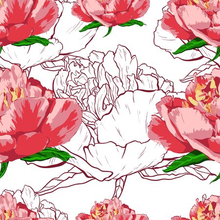 Seamless pattern of flowers peonies on a white background.のイラスト素材