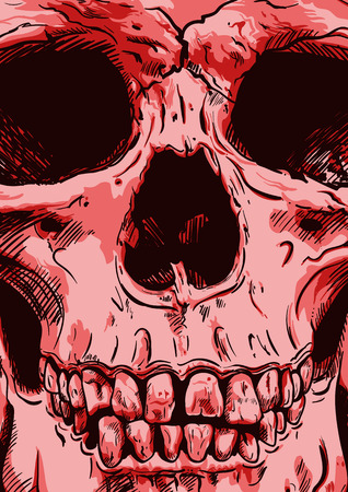 Human Skull Vector Art. Detailed hand drawn illustration of skull on background. Tattoo style skull art. Grunge weathered illustration. Print design.のイラスト素材