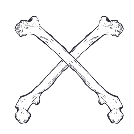 Crossed bones hand drawn sketch.のイラスト素材