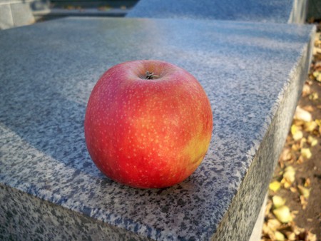 Red apples close up with grey background.の写真素材